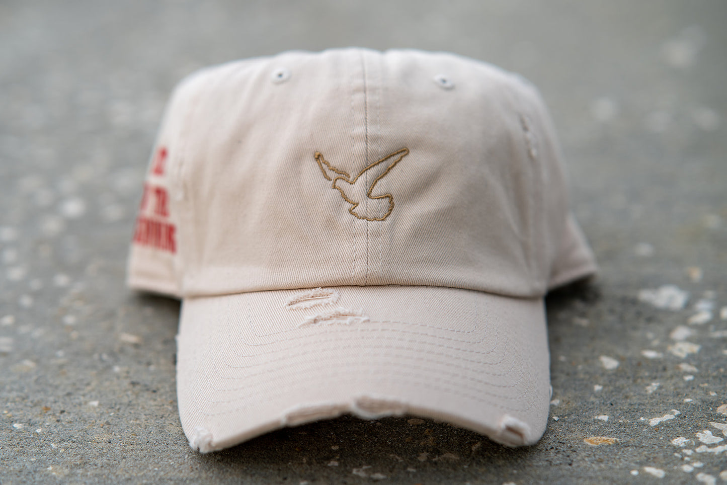 God's Souls GSV2 Hat