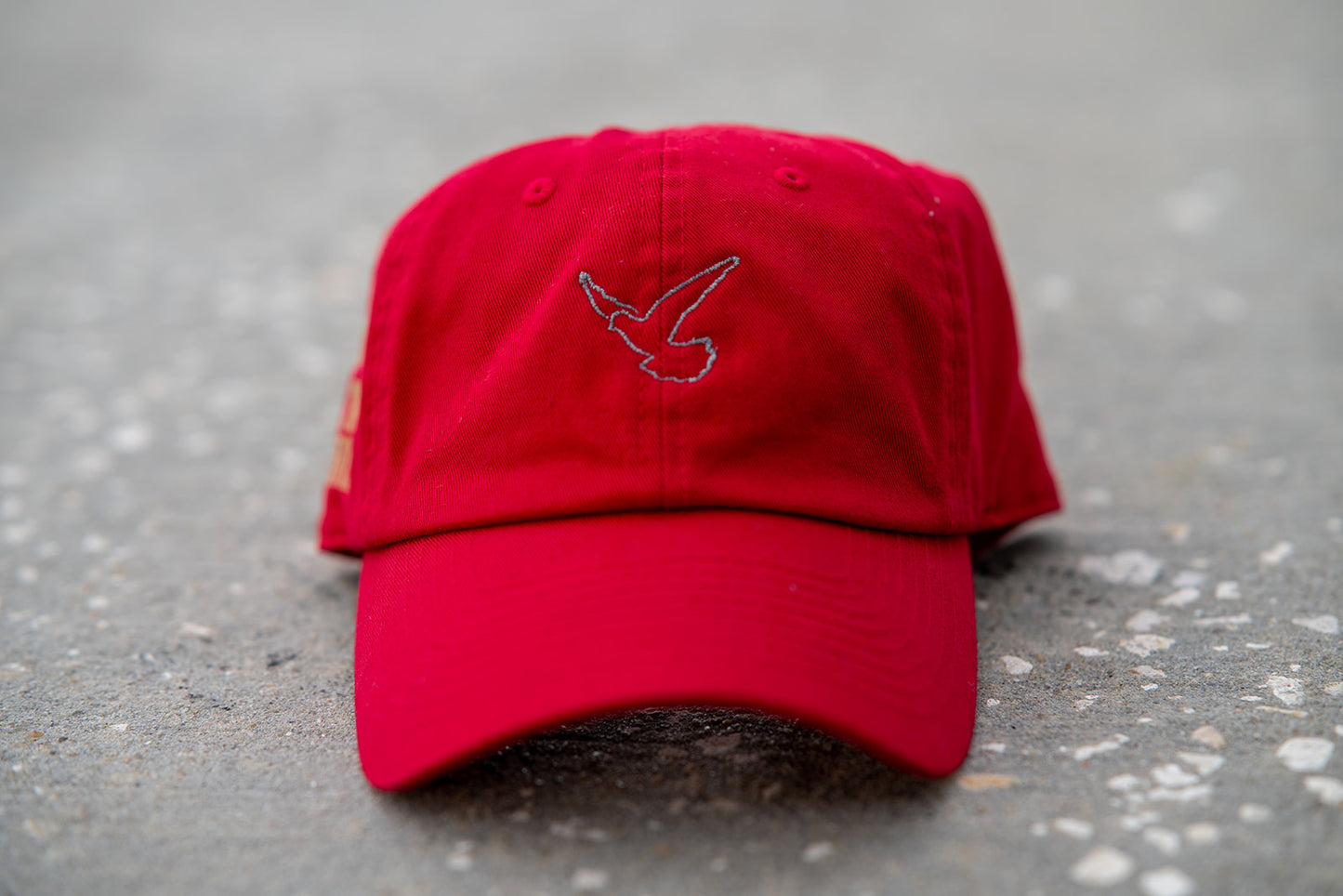 God's Souls GSV1 Hat